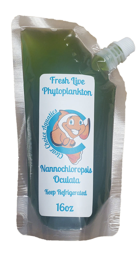 Fresh Live Phytoplankton (Nannochloropsis)