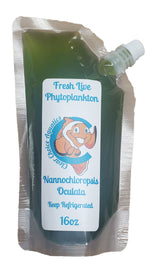 Fresh Live Phytoplankton (Nannochloropsis)