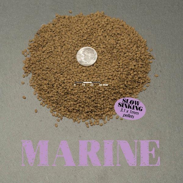 Ultra Marine Slow sinking 3.1 x 1mm pellets